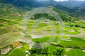 Rice terraces in Vietnam