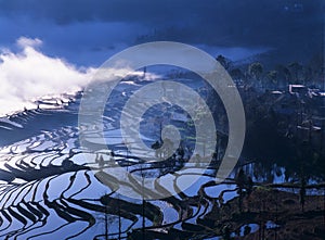 Rice terraces of yuanyang photo