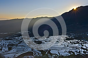 Rice terraces of yuanyang