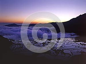 Rice terraces of yuanyang