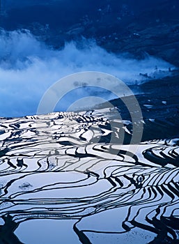 Rice terraces of yuanyang in the morning