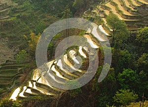 Rice terraces of yuanyang, yunnan, china