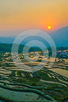 Rice terraces of yuanyang, yunnan, china