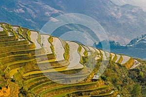 Rice terraces of Yuanyang, Yunnan, China