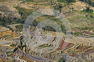 Rice terraces of Yunnan, China.