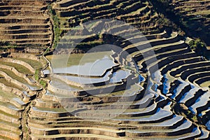 The famous terraced rice fields of Yuanyang in Yunnan province in China