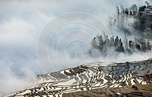 Rice terraces of Yunnan province amid the scenic morning fog.