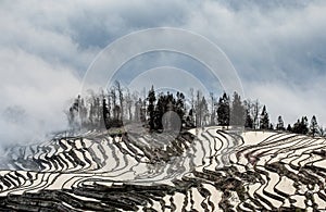 Rice terraces of Yunnan province amid the scenic morning fog.