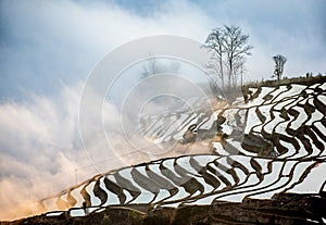 Rice terraces of Yunnan province amid the scenic morning fog.