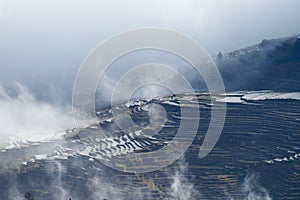 Rice terraces of Yunnan at sunrise with fog, China.