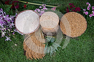 Rice, Thailand Rice