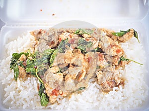 Rice topped with fried pork basi