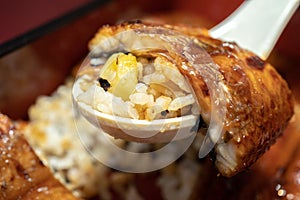 Rice topped with grilled roasted eel, Kabayaki.