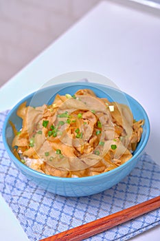 Rice topped with pork or pork stew, Japanese food