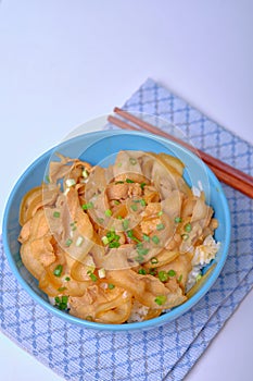 Rice topped with pork or pork stew, Japanese food