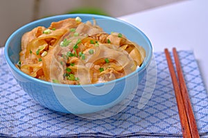 Rice topped with pork or pork stew, Japanese food