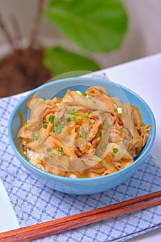 Rice topped with pork or pork stew, Japanese food