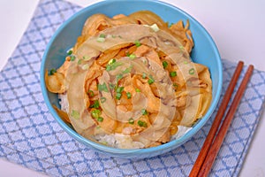 Rice topped with pork or pork stew, Japanese food