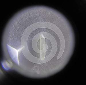 Rice under magnifier with flare