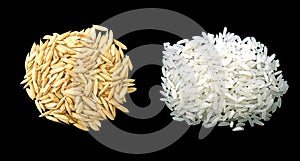 Rice w cliping path isolated