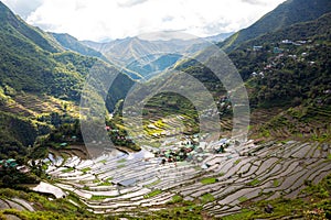 Rice and water on terraces, world heritage Ifugao rice terraces in Batad