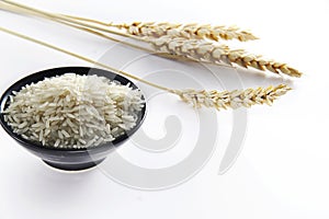 Rice with wheat photo