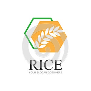 Rice or wheat grain agriculture logo design for your business and product names or for all your ideas