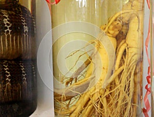 Rice wine soaked with mandrakes and snakes