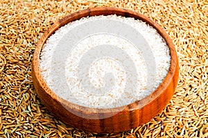 Rice in wooden  bowl on paddy rice background,Rice of famer in Thailand