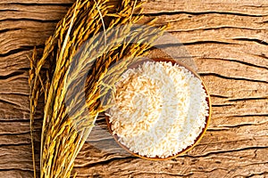 Rice in wooden bowl with paddy rice on rustic wood background,Rice of famer in Thailand