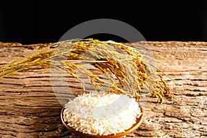 Rice in wooden bowl with paddy rice on rustic wood background,Rice of famer in Thailand