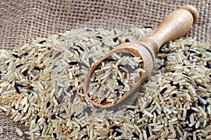 Rice in a wooden scoop  wild brown rice