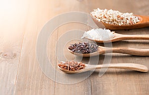 Riceberry brown rice Jasmine rice on wood spoon