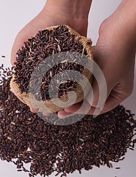 Riceberry rice in sacks in hads holding top view.