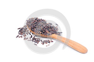 Riceberry in wooden spoon