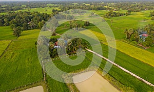 A ricefield and landscape near the city of Takeo in Cambodia