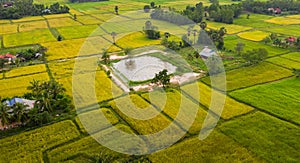 A ricefield and landscape near the city of Takeo in Cambodia