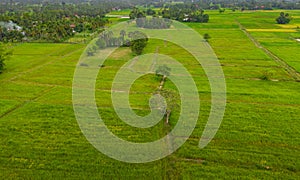 A ricefield and landscape near the city of Takeo in Cambodia