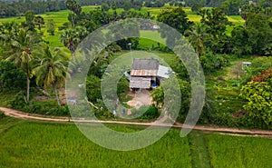 A ricefield and landscape near the city of Takeo in Cambodia