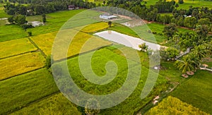 A ricefield and landscape near the city of Takeo in Cambodia