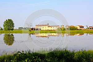 Ricefield in Lomellina, Italy photo