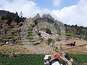 Ricefield mountain and houses in summer