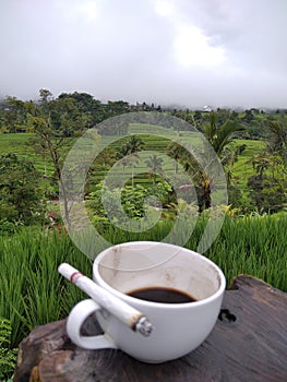 Ricefields bali nature scenery enjoy vacation tour trip