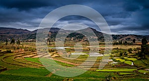 Ricefields of Madagascar