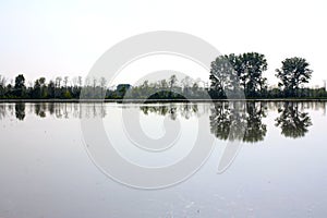 Ricefields and reflections, Lomellina, Italy