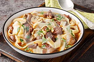 Rich beef stroganoff soup with homemade noodles and mushrooms close-up in a bowl. Horizontal