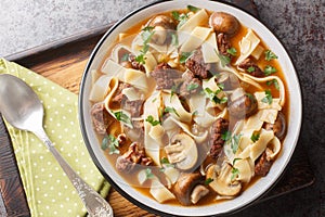 Rich beef stroganoff soup with homemade noodles and mushrooms close-up in a bowl. Horizontal top view