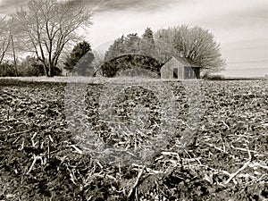 Rich, Black Soil of Illinois Farm Field After Harvest