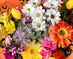 A rich bouquet featuring yellow tulips, white daisies, bold gerberas, and hints of purple accents throughout