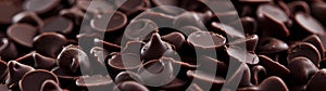 Rich chocolate chips meticulously arranged across a strikingly expansive canvas